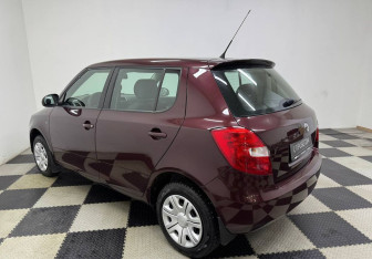 Подержанный автомобиль Skoda Fabia Hatchback 2010 года (7 фото)